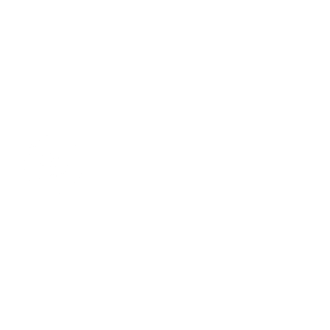 Shore Leave Solutions LLC White Alternate Logo with No Background